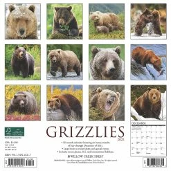 Designocracy Shop -Designocracy Shop willow creek press grizzlies 2022 wall cal bears14133815 a01NOWA